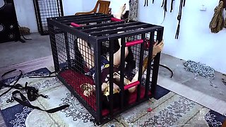 Caged Asian beauty in costume gets her lovely feet tickled