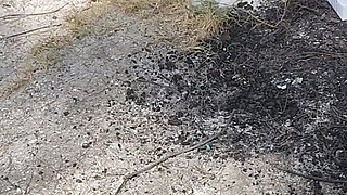 Using my human toilet while driving