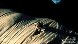 Medical Play Fun, Mummification, Needle CBT and Electro