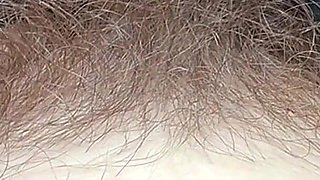 Closeup Hairy Moments