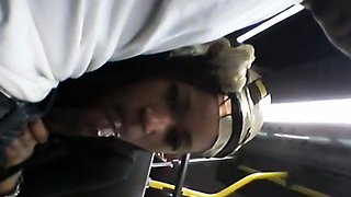 Brain's Blowjob on the Bus