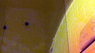 Webcam fun mature brunette with toys cum on cam