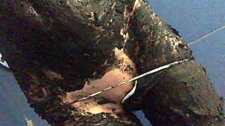 Amateur shower and masturbation