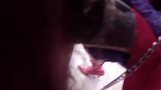 Part 1:- Domina Satana spit roasts Booboo.