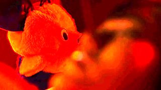 Japanese Asian BDSM Fetish Spanking by