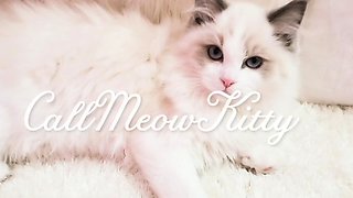 Jessy funny amateur teen brunette toying