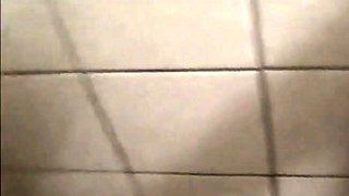 Self-filmed public toilet sex with a blonde