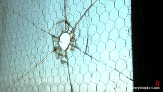 Kelly Divine Likes It Rough