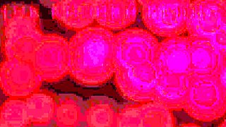 Femdom fetish bdsm mistress hoes