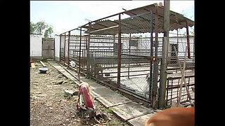 Hard Fucking for Hot Beauty