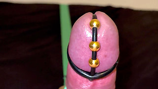 Penis Electric Milking