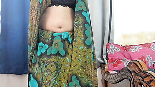 sexy low hip sexy saree strip tease