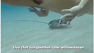 Watch Her Dive Nude With An Eagle Ray!