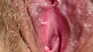 A Little Pussy Teasing