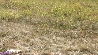 Risky Outdoor Blowjob in Park - Cute Blonde MILF Letty Black Sucks Cock & Takes Cum in Mouth