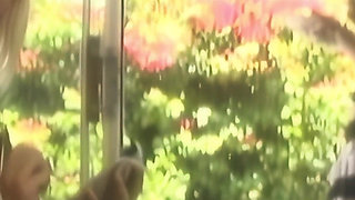 American Actor Bangs British Groupie