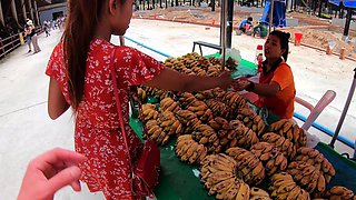 Elephants feeding with Thai girlfriend