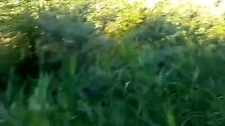 Deutsche MILF im Bikini Outdoor gefickt