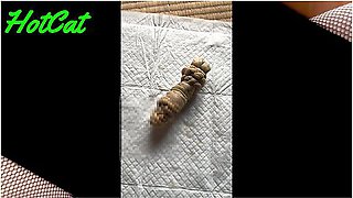 自作した将軍tィルト肥後随喜使ってみたらeカり過きてクチョ音max潮吹き絶頂self-made Shogun Dildo Higo Zuiki