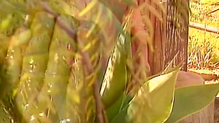 Retro Fucking with Sexy MILF Full Squirt