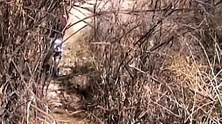 Slim Babe Cody Pleasures Big Cock Rusty In Cowgirl Outdoors