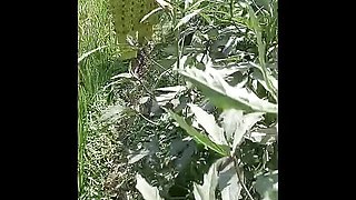 Indian Telugu hot 🔥 aunty faking hor agriculture owner for money