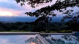 Shemale tranny solo masturbation scene