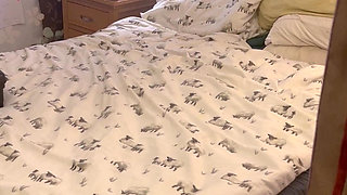 Filming Through an Open Window Lucky on Looker Films Us