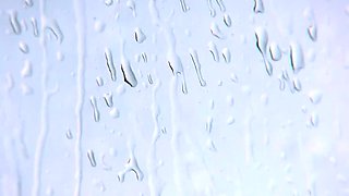 Teen Amateur Brunette Cam Masturbation Porn