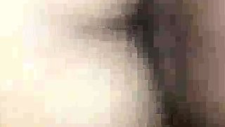 My Slut Wife Getting Fucked By Her Bull in Front of me bb