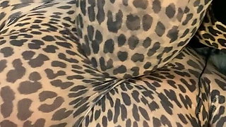 Leopard Pantyhose Encasement