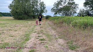 Pet Girl Gets Taken Out on a Leash for a Walk and Gets Deepthroated