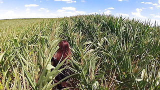 First Time Trying Standing 69 in a Cornfield and He Makes Me Cumhard