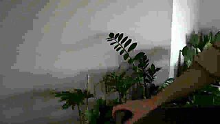 Florina Fitness Topless Nude Fishnet Stockings