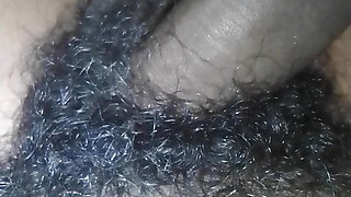 Showing very big hairy dick video