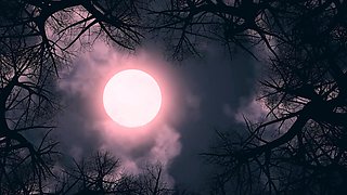 Monster Porn - The Undreamed