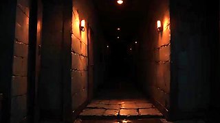 Brunette is shafted in a 3D fucking