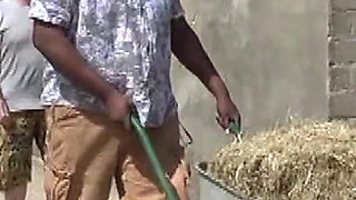 Lady Claire and the Farm Hands