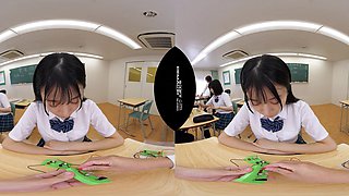 Japanese students explore intense VR classroom POV passion