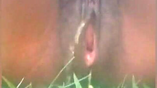 My slut masturbating and pee in the bush, she got fat pussy