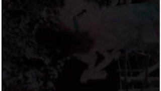 [climax] In The Night Cherry Blossoms,fuck With A Hanbok Girl Fluttering (missionary Position)