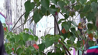 Fat Granny Ass Gets Destroyed in Driving Bus