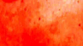 Emotional Kell Fire - hd video - FreeUse