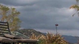 Asian babe gets fucked and enjoys it