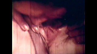 Vulgar Capricious Pig