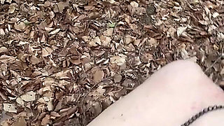 Humiliation in the Forest...