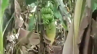 Aunty with Her Lover Catch by Husband