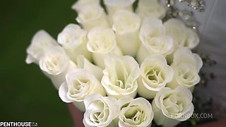 Virgin Bride Gets Her Cherry Popped