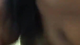 2 Cocks for the Wild Student Xenia 18