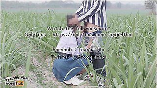 Thai Student And Sexy Thai - 4k Thai เยดuกเรยuใuไรออย รถwาuไปมาโคตรเสยว แตกใสnuาเตมๆ